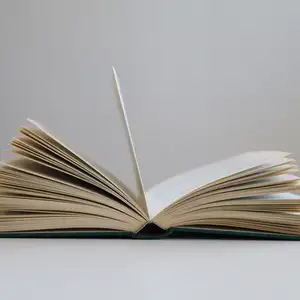 Der Spiegel Bestseller einfach erklärt!