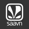 saavn.png